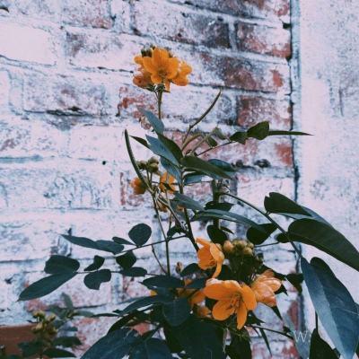 必一体育官方下载入口